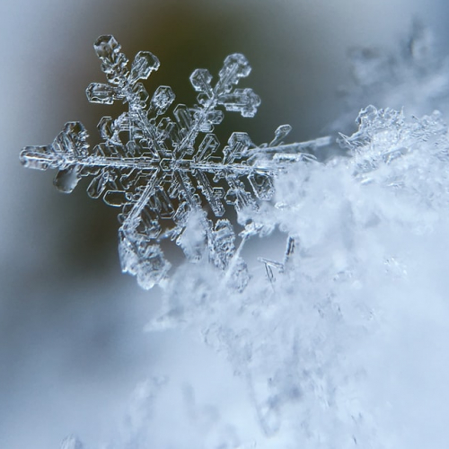 Patinoire de Noël 2019 à Marseille