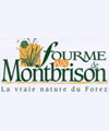 La route de la fourme de Montbrison