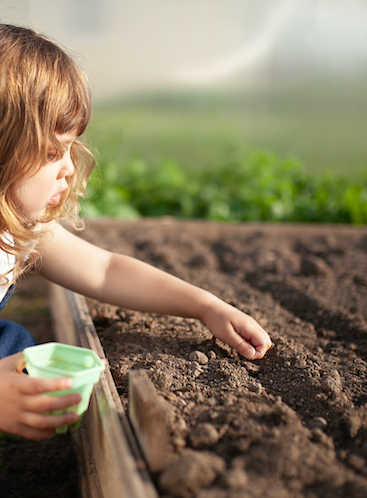 Journée verte 2021 à Gujan-Mestras