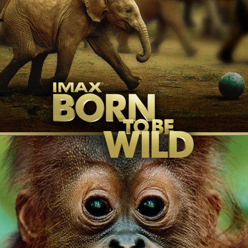 Born to be wild