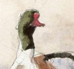 Expo Du volume au trait