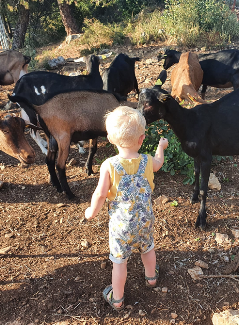 La Chèvrerie du bois d'Amon : un enfant avec les animaux