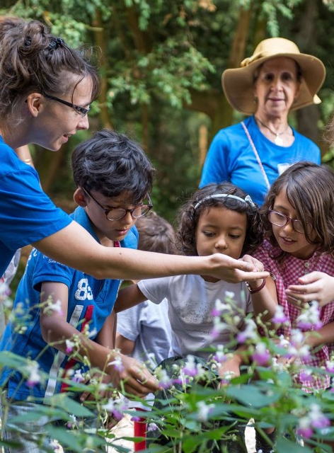 Nuits des forêts à Rennes