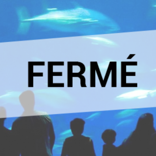 Sealand Noirmoutier : fermé