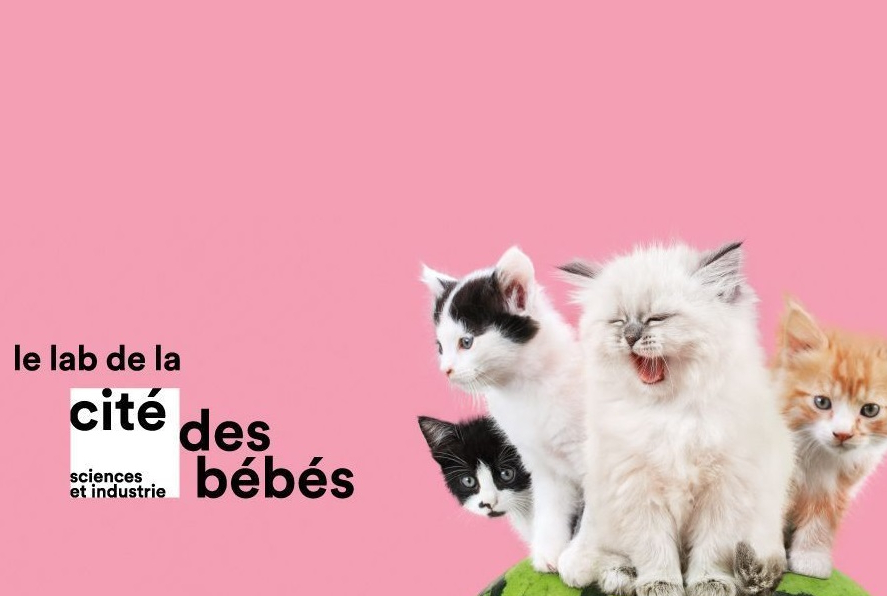 Le Lab De La Cite Des Bebes Espace Pour Les 0 2 Ans A La Cite Des Sciences Citizenkid Le Lab De La Cite Des Bebes Espace Pour Les 0 2 Ans A La Cite Des Sciences Citizenkid