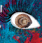 Centre culturel l'Odyssée Dol de Bretagne