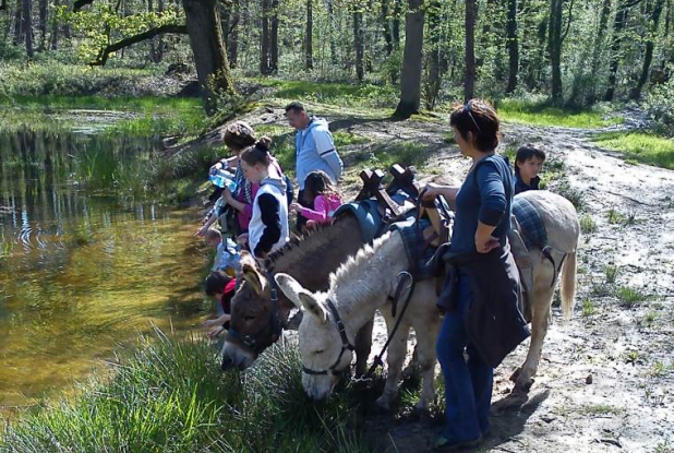 Parc du Vexin français