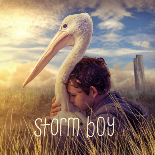 concours-stormboy