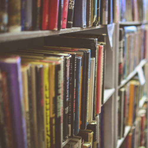 Bibliothèque du Port