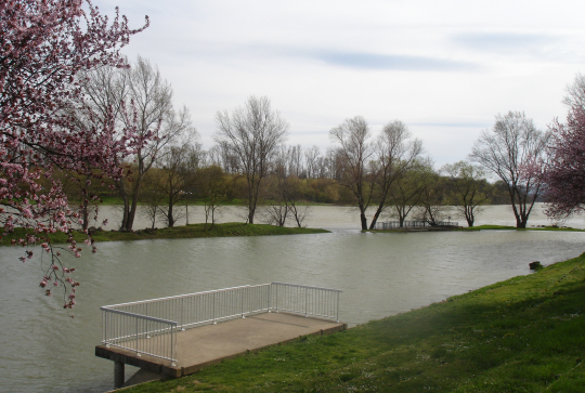 L'île de la table ronde
