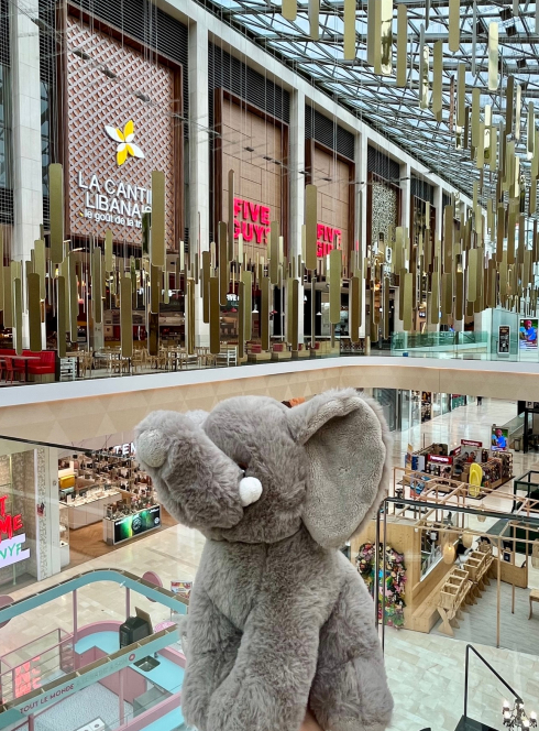 Créteil Soleil : éléphant