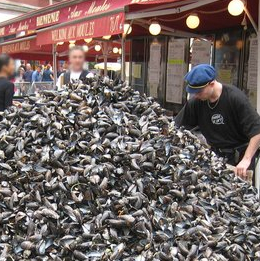 Moult moules et caetera