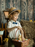 Pâques 2024 dans les fermes du Nord : petit garçon dans une étable, son panier rempli d'œufs et d'un caneton