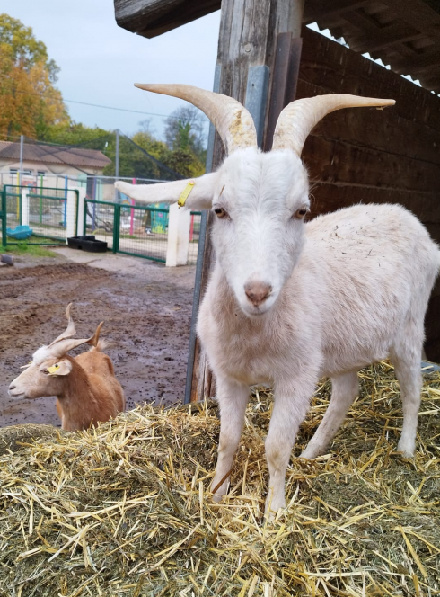 Ferme pédagogique Pennes-Mirabeau