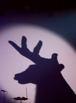 Du bout des doigts - Coralie Ehinger et Philippe Beau