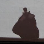 Théâtre Maison Guignol : activités vacances