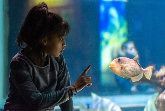 Aquarium Sea Life Paris dans le centre Val d'Europe