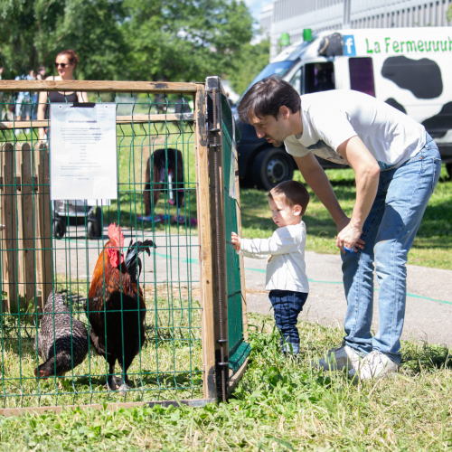 Ferme pédagogique aux 24 heures de l'INSA