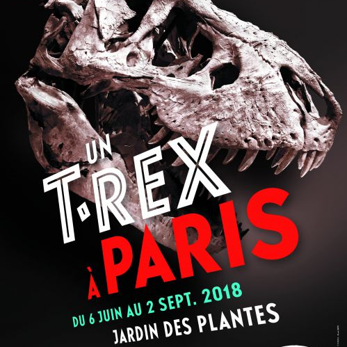 Expo Un T-Rex à Paris