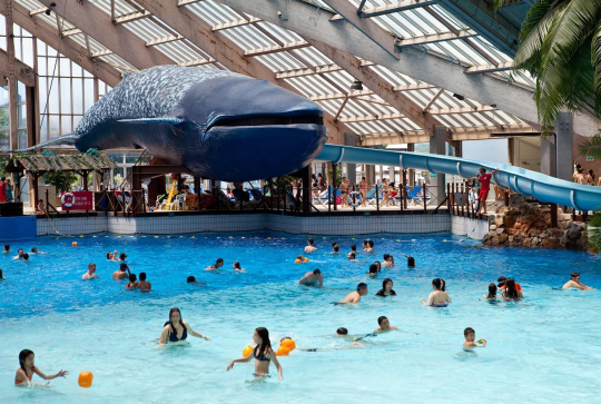Aquaboulevard : baleine