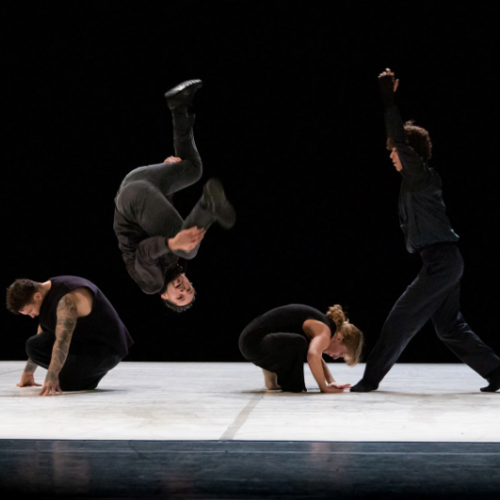 Contrappunto - Pockemon Crew