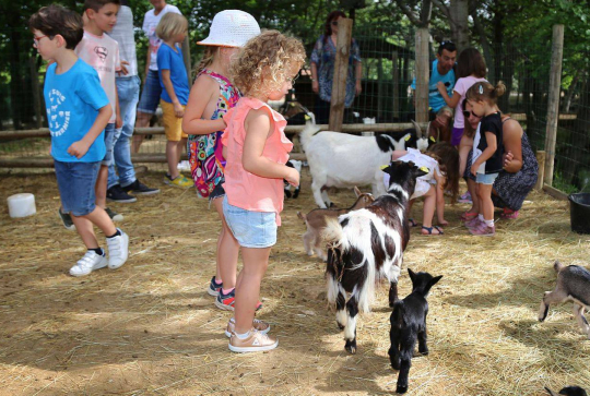 Les Petits fermiers à Lansargues