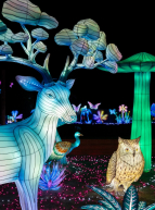 Festival Luminescences : cerf et hibou