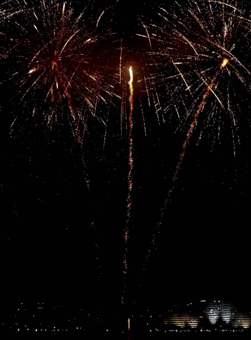 Marine en fête : Feux d'artifice