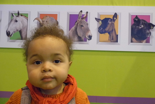 salon agriculture 2013