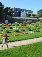 Top des parcs pique-nique Nantes : jardin des plantes