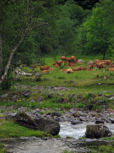 haute garonne