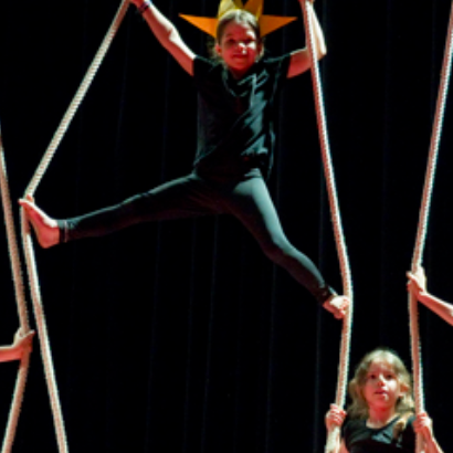 Fête du Lido : Otaries airplane