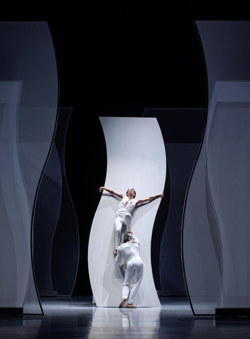 Noces & Opus 40