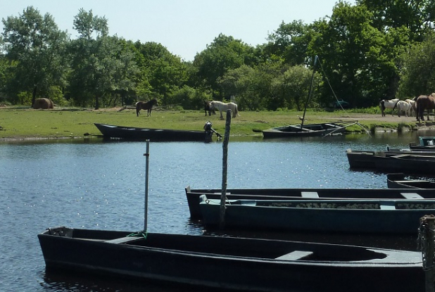 Parc naturel régional de Brière