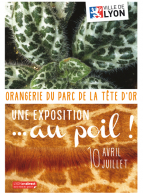 Exposition au poil - orangerie parc de la tête d'or
