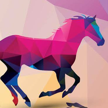 Cheval Roi 2017 : le salon du cheval de Toulouse-Grenade - Affiche 2017