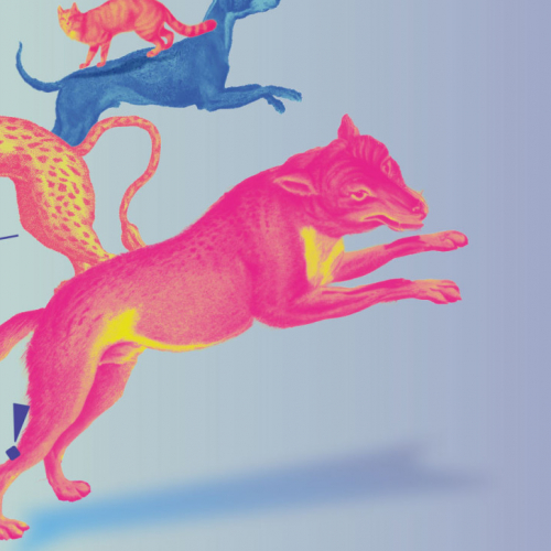 Expo Domestique-moi si tu peux !