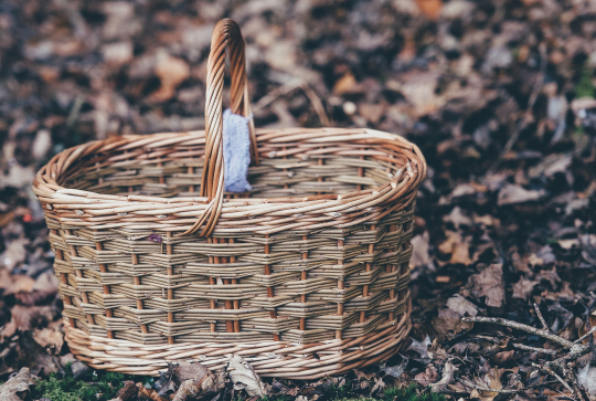 Les bons réflexes à adopter