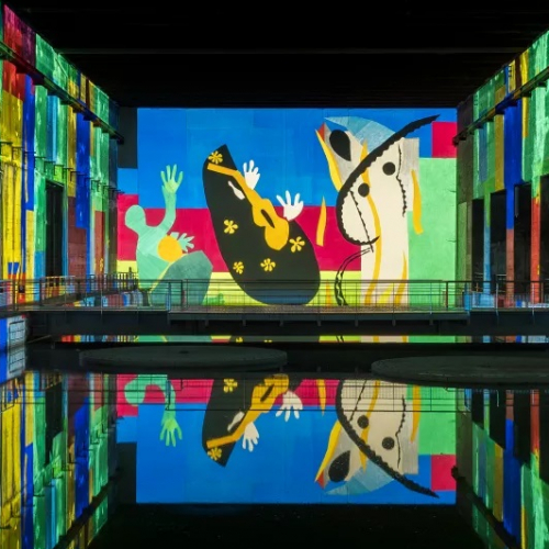 Expo Matisse - La symphonie des couleurs