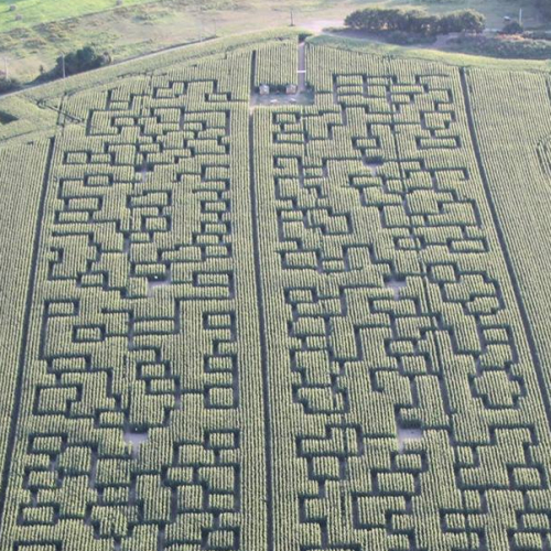 Pop Corn Labyrinthe