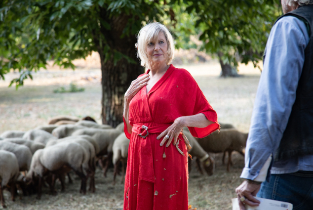C'est quoi ce papy ?! : Aurore dans les champs