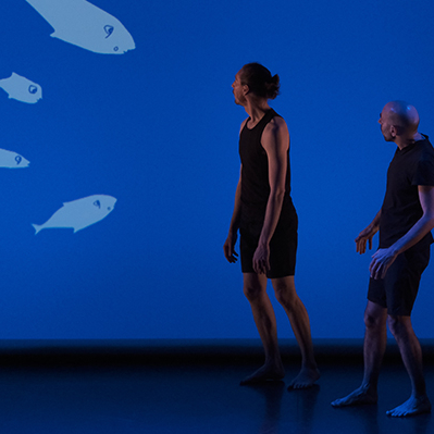 Le Poisson qui vivait dans les arbres