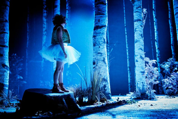 Neige - Pauline Bureau : arbres