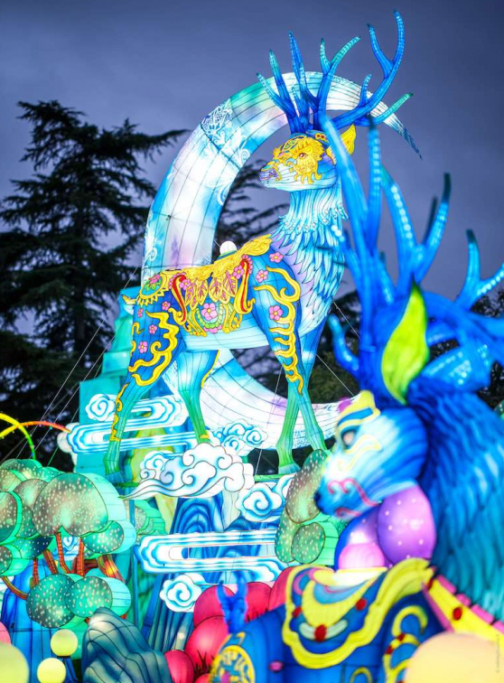 Festival des Lanternes : le cerf