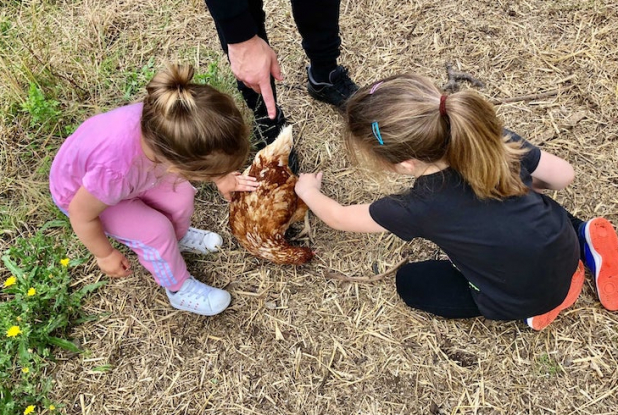 Vive les Groues : enfants et poules