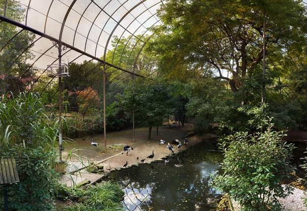 Ménagerie © MNHN - Jérôme Munier