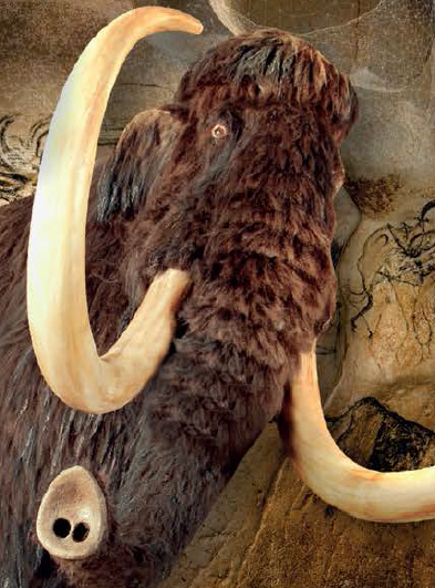 Expo Derrière la paroi la grotte Chauvet
