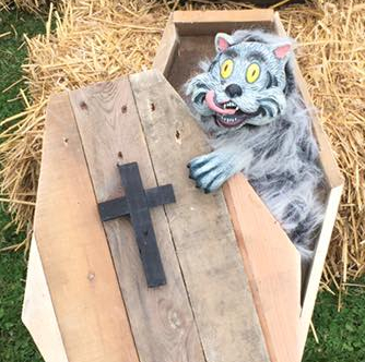 Halloween au Parc des Poussins