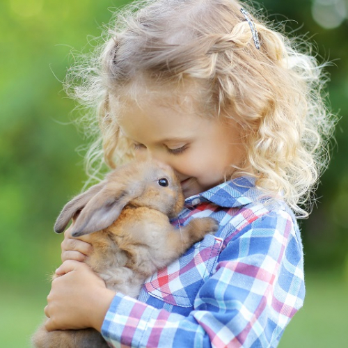 Adobe Stock - enfant et lapin