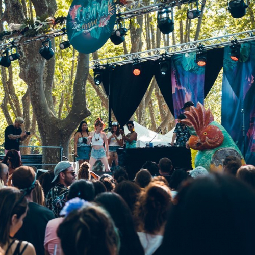 Waya Festival
